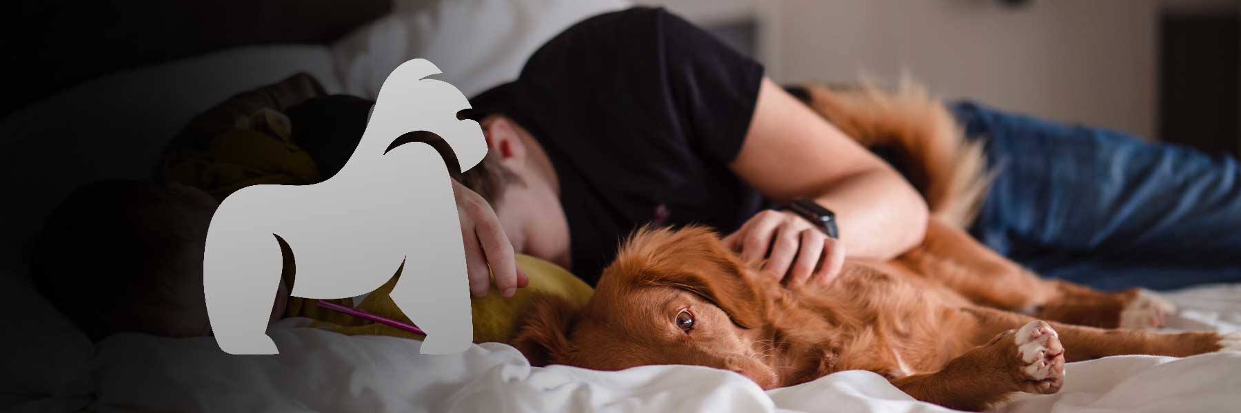Schlafen mit Haustieren: Beeinflussen sie Ihren Schlaf?