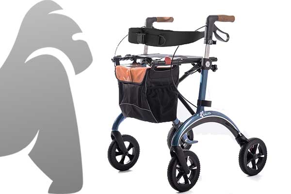 carbon-rollator-banner-gorilla-gesund