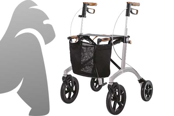 outdoor-rollator-banner-gorilla-gesund