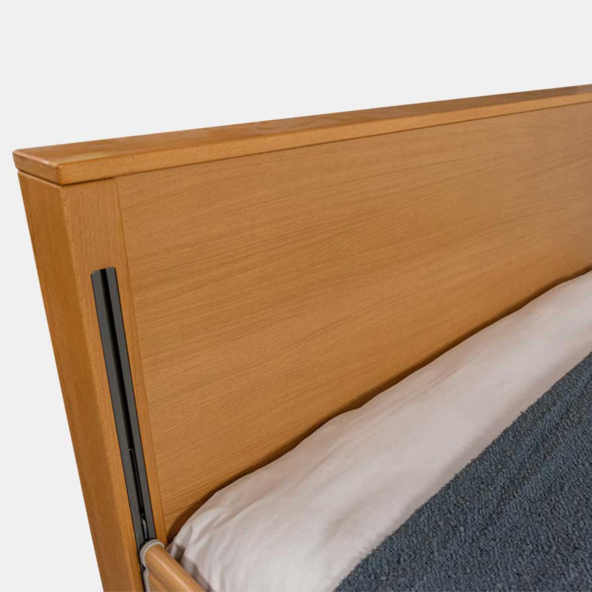 Ecofit Xtra care bed, including upright