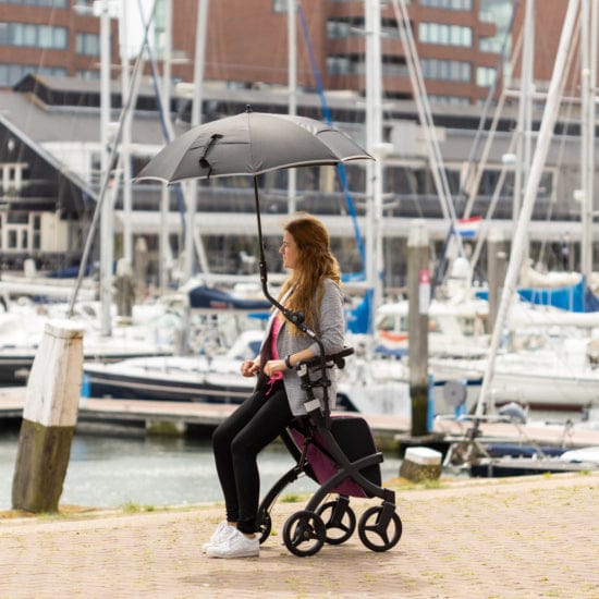 Rollator-Zubehör Rollz Flex Regenschirm Rollz 177982 guenstig online kaufen bei VIDIMA