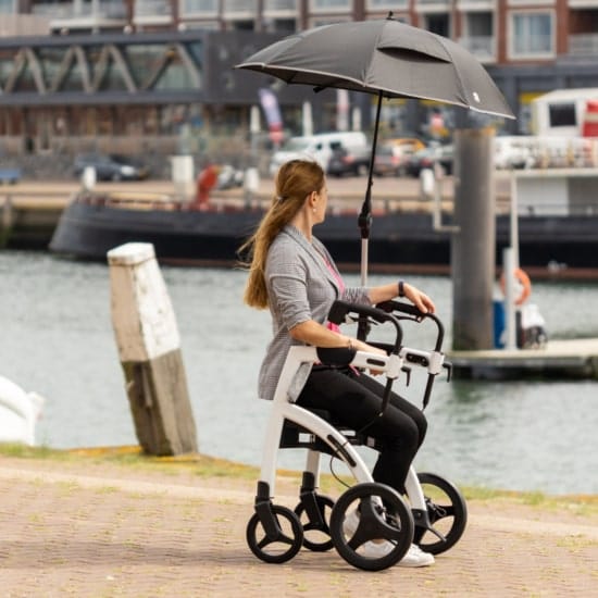 Rollator-Zubehör Rollz Motion Regenschirm Rollz guenstig online kaufen bei VIDIMA